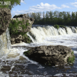 Venta Rapid