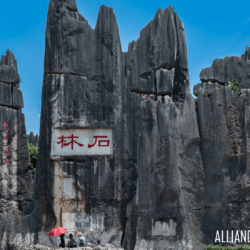 stone forest china