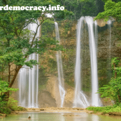 alliancefordemocracy