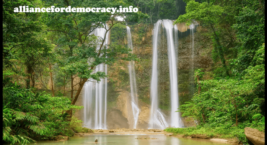 alliancefordemocracy