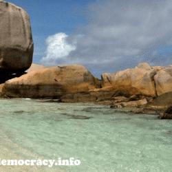 alliancefordemocracy
