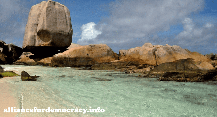 alliancefordemocracy