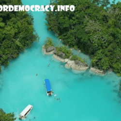 alliancefordemocracy