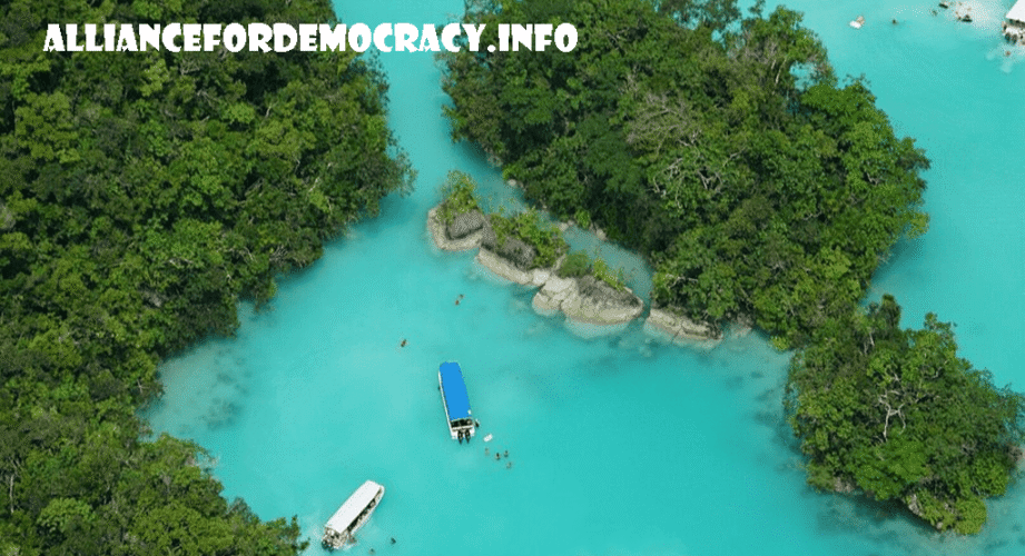 alliancefordemocracy