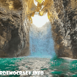 alliancefordemocracy