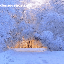 alliancefordemocracy