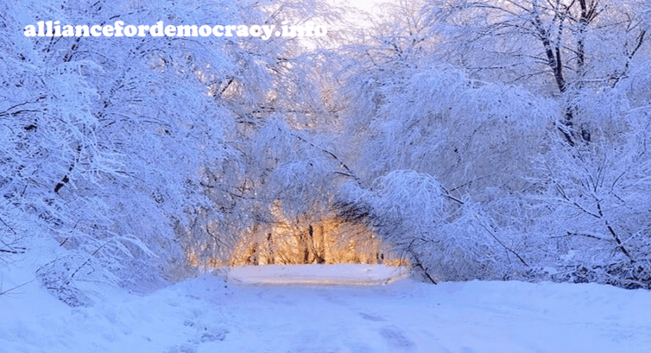 alliancefordemocracy
