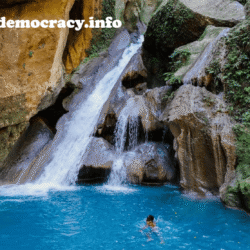 alliancefordemocracy