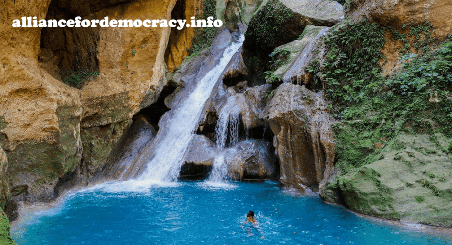 alliancefordemocracy