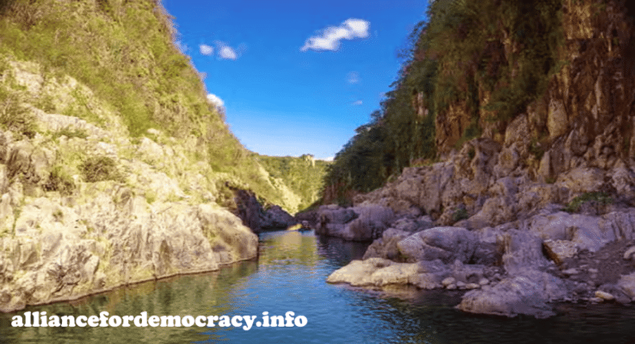 alliancefordemocracy