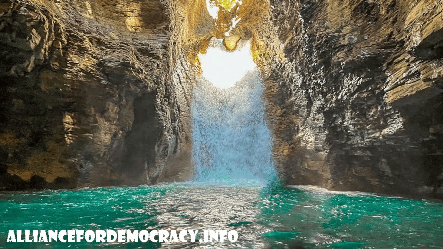alliancefordemocracy