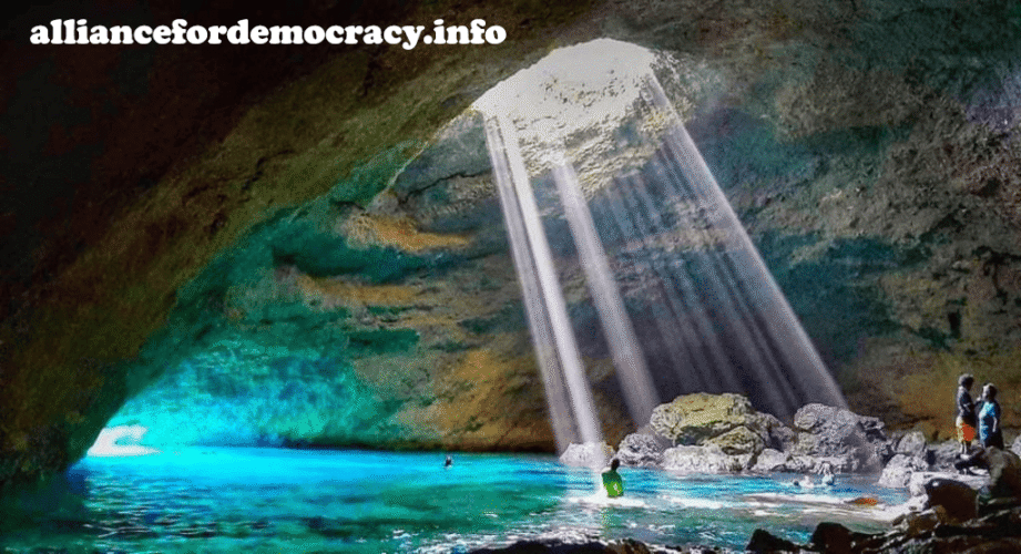 alliancefordemocracy