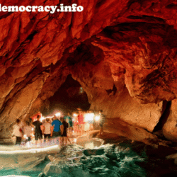 alliancefordemocracy