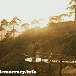 alliancefordemocracy