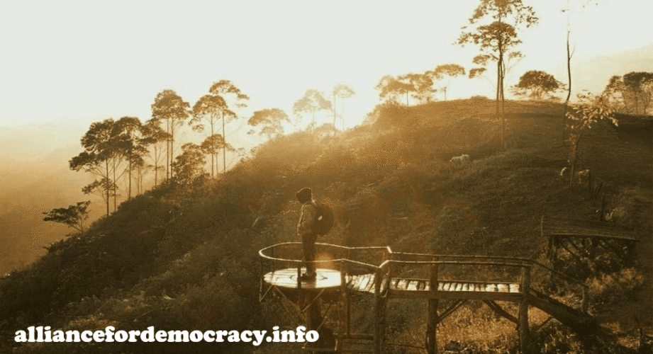 alliancefordemocracy