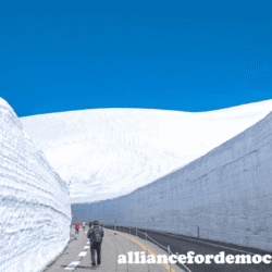 alliancefordemocracy