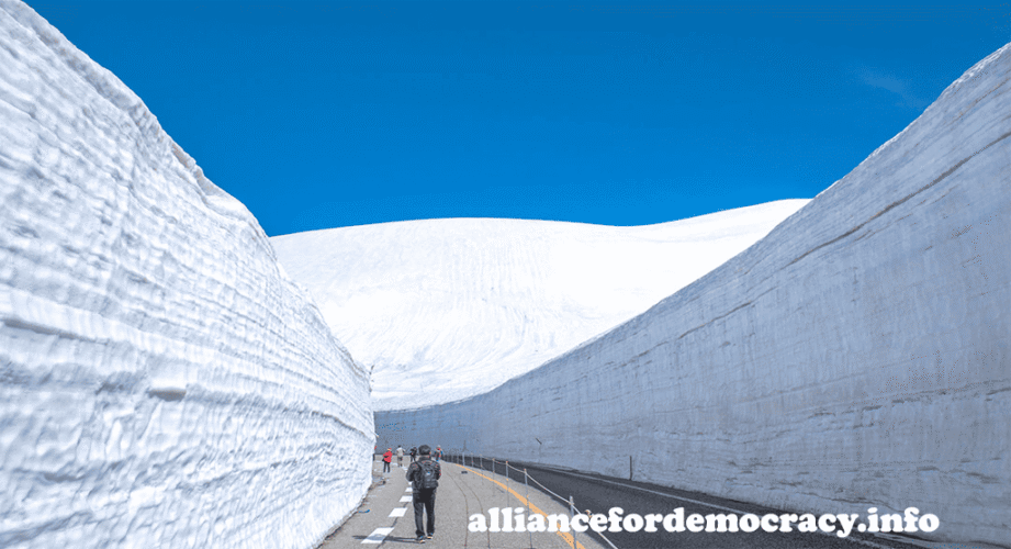 alliancefordemocracy