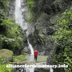 alliancefordemocracy