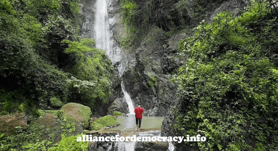 alliancefordemocracy