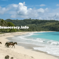 alliancefordemocracy