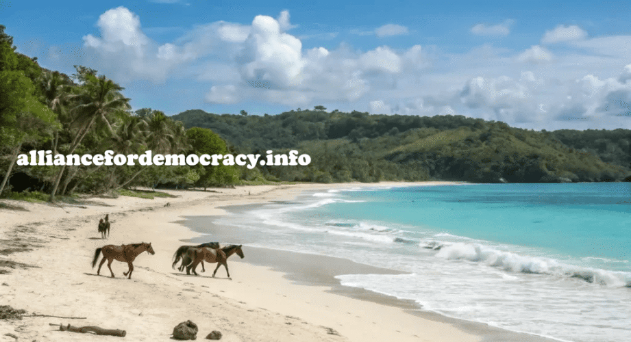 alliancefordemocracy