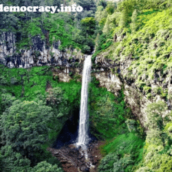 alliancefordemocracy
