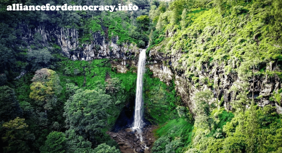alliancefordemocracy