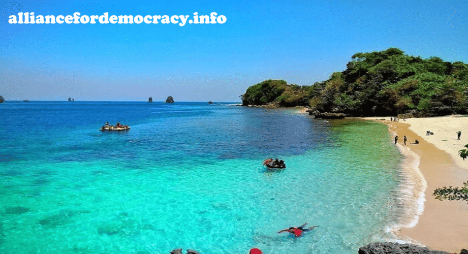 alliancefordemocracy