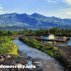 alliancefordemocracy