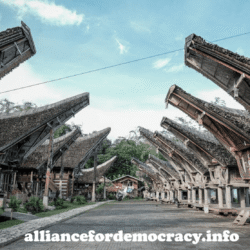 alliancefordemocracy
