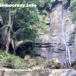 alliancefordemocracy