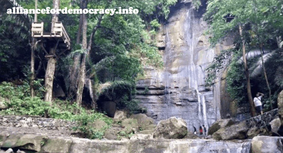 alliancefordemocracy