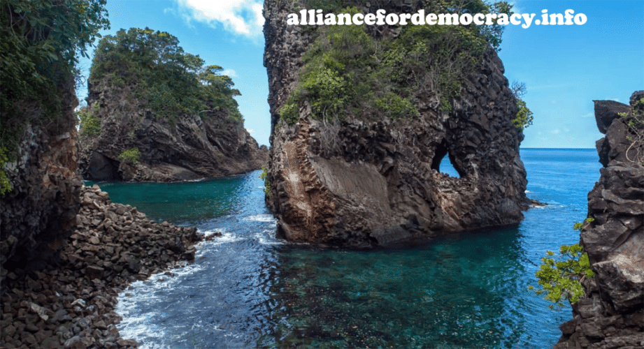 alliancefordemocracy