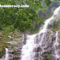 alliancefordemocracy