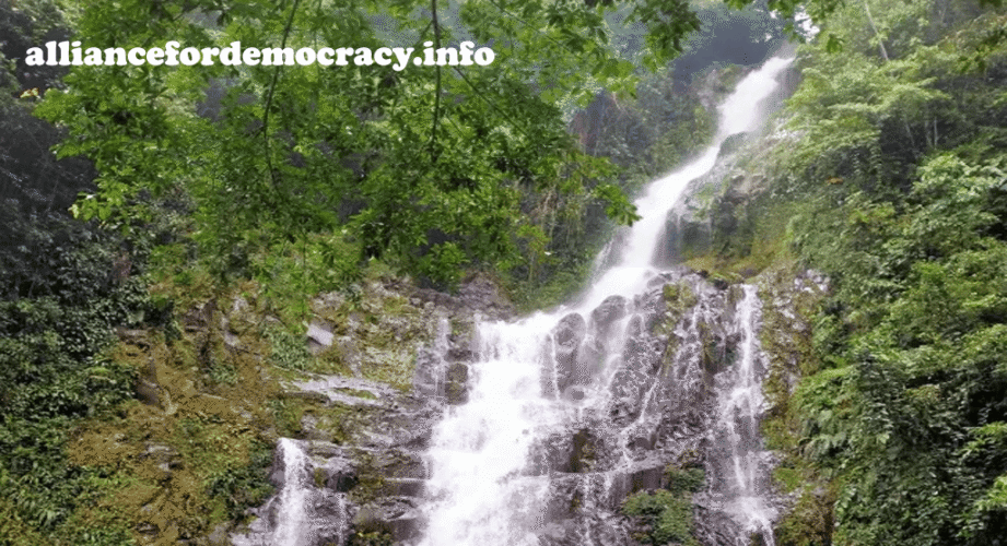 alliancefordemocracy
