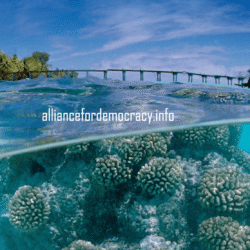 alliancefordemocracy