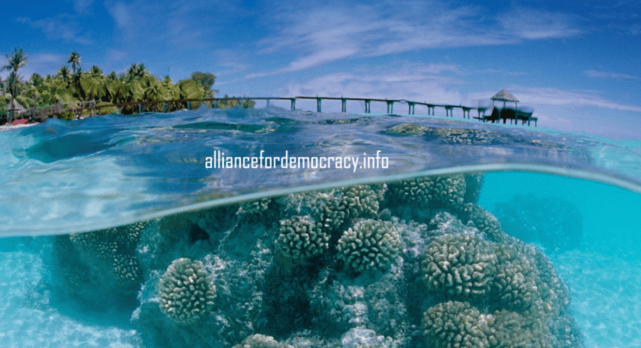 alliancefordemocracy