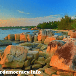 alliancefordemocracy