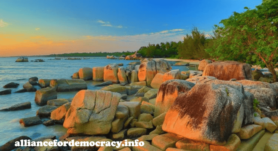 alliancefordemocracy
