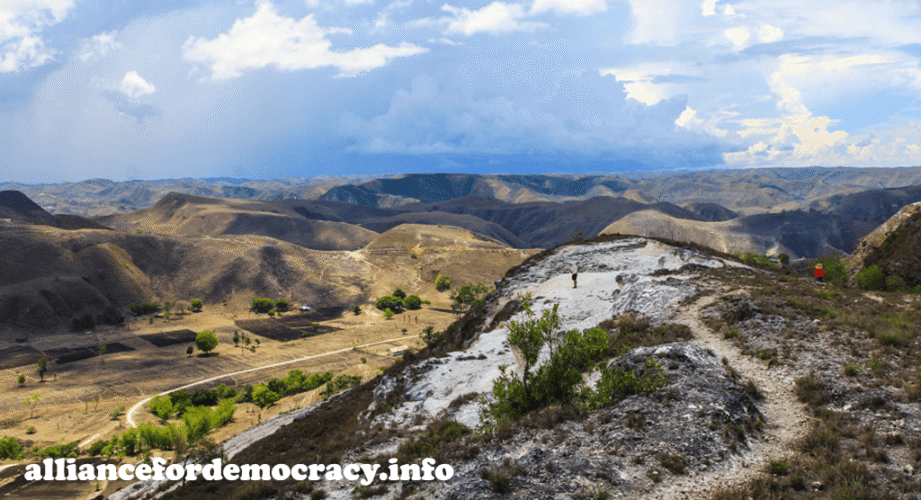 alliancefordemocracy
