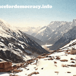 alliancefordemocracy