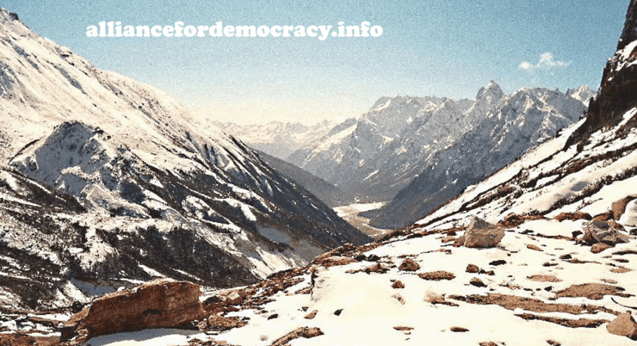 alliancefordemocracy