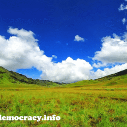alliancefordemocracy