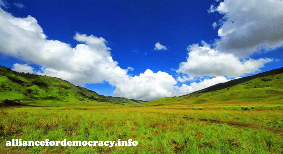 alliancefordemocracy