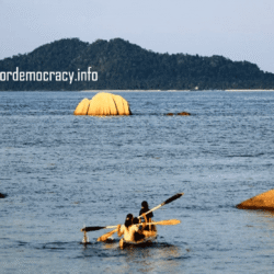 alliancefordemocracy