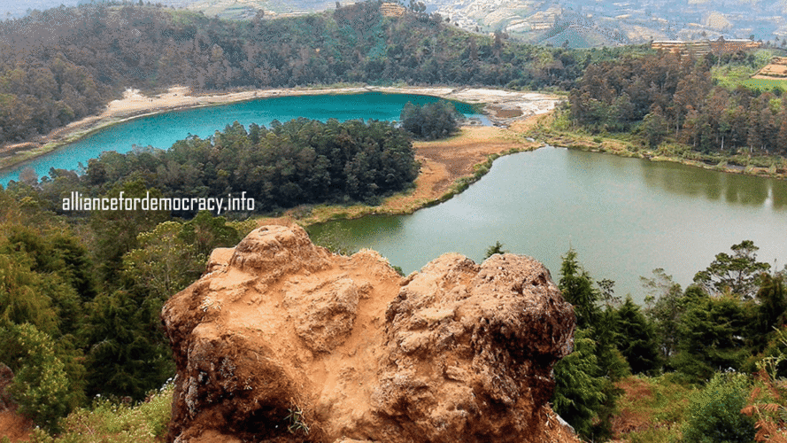 alliancefordemocracy