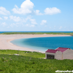 alliancefordemocracy.info