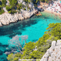 alliancefordemocracy.info