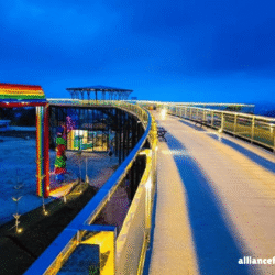 alliancefordemocracy.info