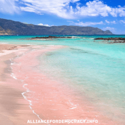 alliancefordemocracy.info